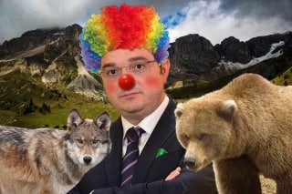 L’orso problematico, il lupo pericoloso e il politico inetto.
