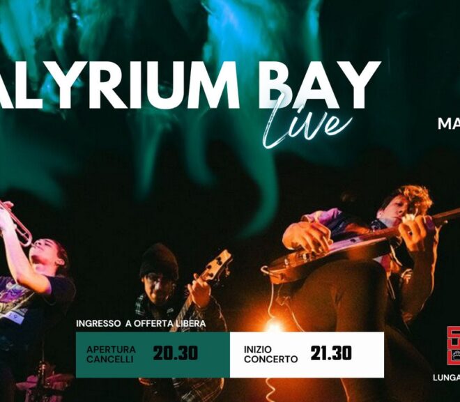 Dalyrium Bay LIVE