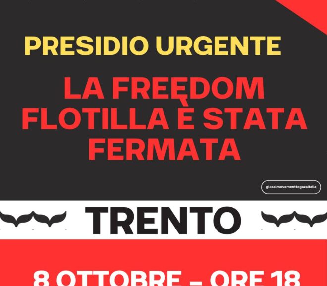 La Freedom Flotilla è stata fermata – Presidio