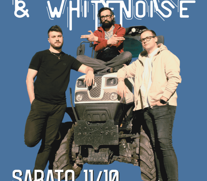 Felix Lalù & Whitenoise LIVE